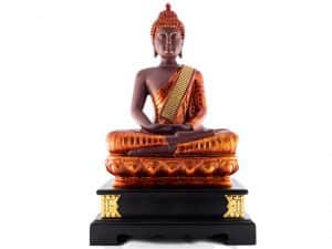 8017B GOUTHAM BUDDA
