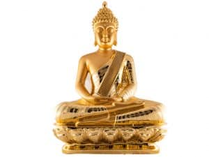 8107AW GOWTHAM BUDDA