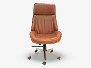6023 LUISURE MODEL CHAIR