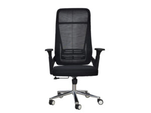 BOSS CHAIR 3