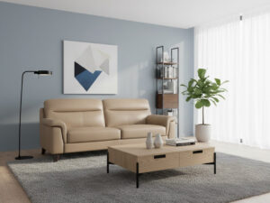 Half Leather Sofa 3+2